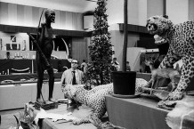 Confronting a colonial past