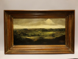 Duinlandschap Zandvoort