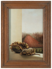 Uitgebloeide zonnebloemen