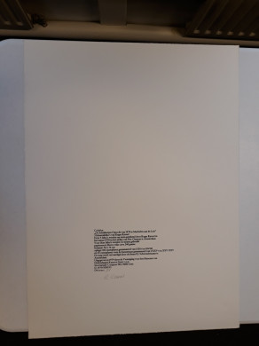 De schilderijenoptocht