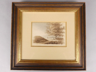 Rivier met landschap