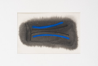 How did the blue come in?