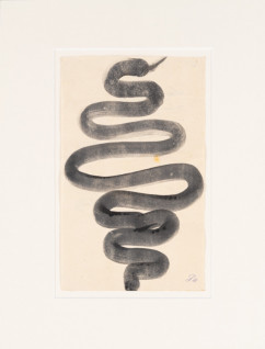 Zwarte compositie Slang