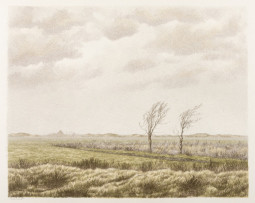 Donkere dagen op de hei