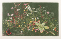 Bloemen, Vlinders en Insecten