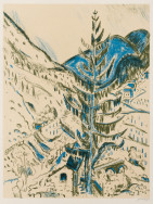 Alpenlandschap rond Davos