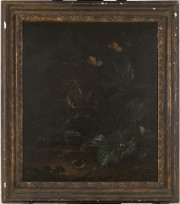 Nachtvisioen van planten, insecten en reptielen