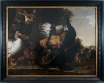 Fabel van de kraai die van zijn pronkveren wordt beroofd