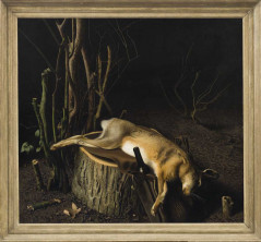 Stilleven met dode haas en kreupelhout