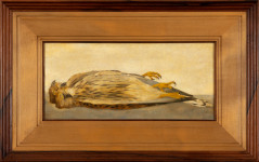 Twee dode torenvalken