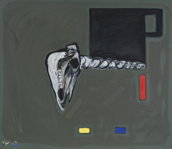 Stilleven met eenhoornschedel