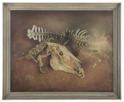 Stilleven met muilezelskelet in landschap