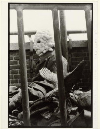 Panorama Faulhorn (WIRRA 9)