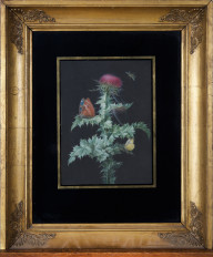 Distelbloem met vlinders II