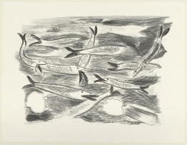 Hollandse nieuwe ontdekt hoe goed Hollandse nieuwe smaakt