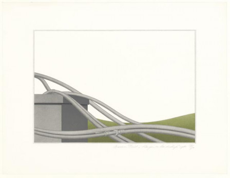 Slangen in landschap