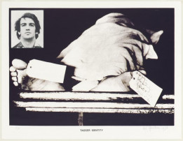 Tagger identity nr. 5