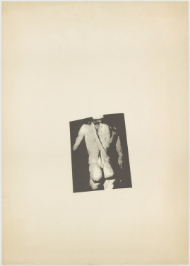 David's Rug naar Michelangelo