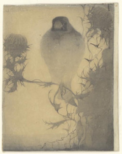 Puttertje op bloeiende distel