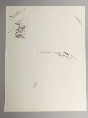 Onder de takken door