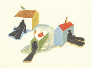 De situatie Ochten d.d. 31 januari 1995