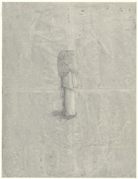 Strandvondst (Weekdier)