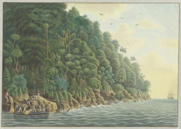 Ambon eiland - Klein Poelo Laut