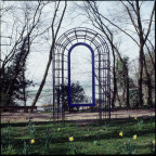 The owl and the pussycat went to see