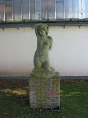 Vrouwelijk figuur
