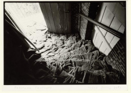 Panorama Faulhorn (WIRRA 9)