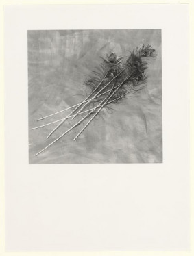 Stilleven/nature morte