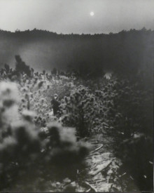 Vrouwenfiguur (in bos)