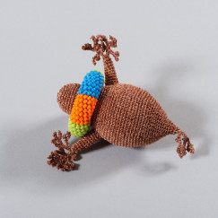 Watervlo met zwemband collier