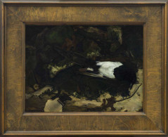 Stilleven met dode ekster