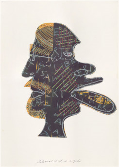 Liberal art is a joke