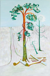 Naaldboom in de sneeuw